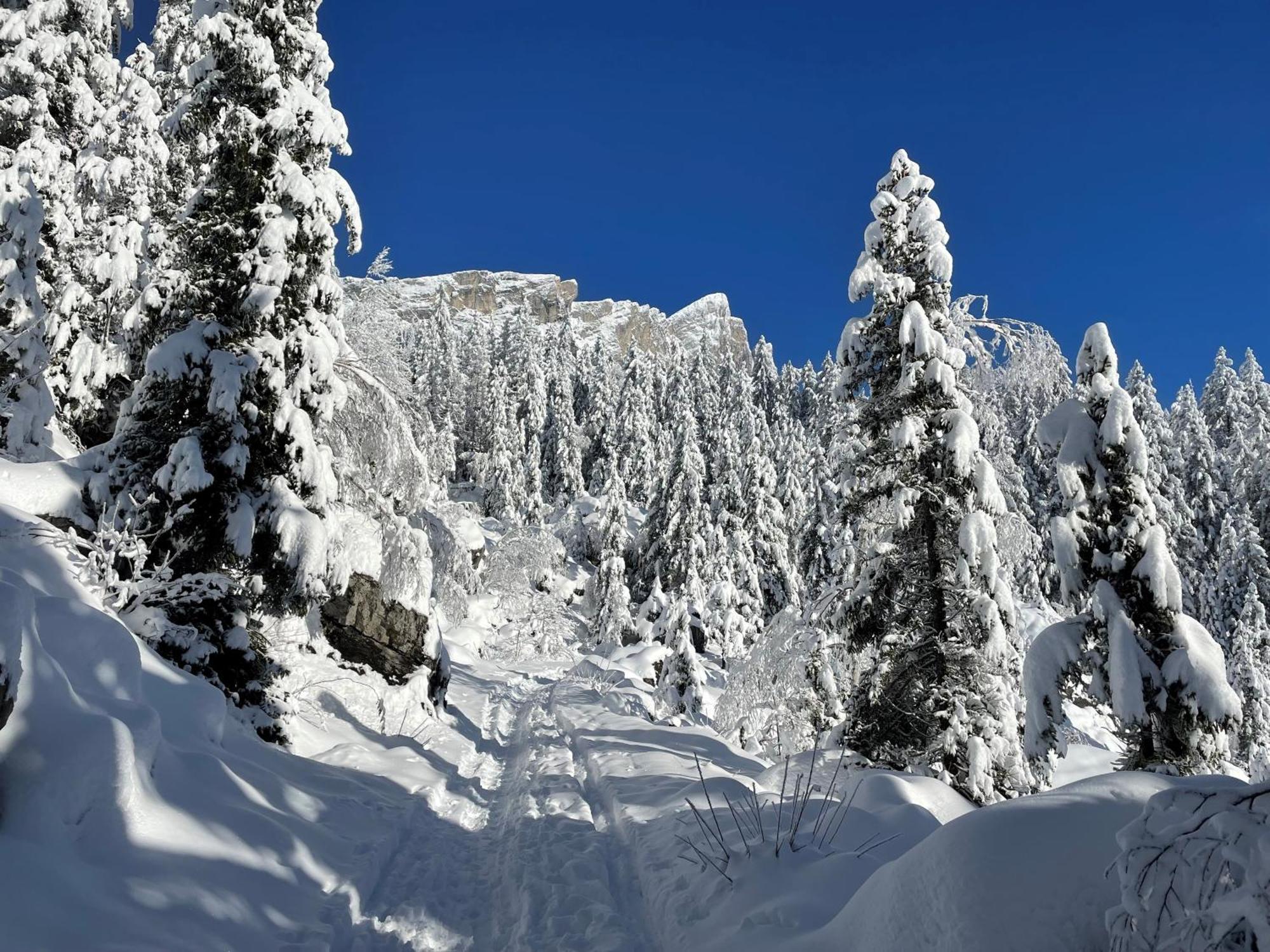 Chalet Du Grand Cerf Серво Екстер'єр фото